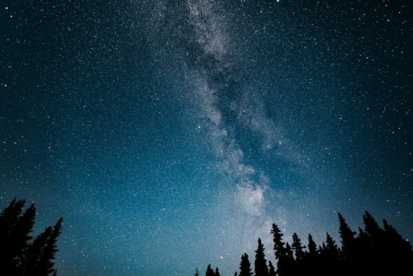 Milchstraße über einem Wald bei Nacht, klarer Sternenhimmel