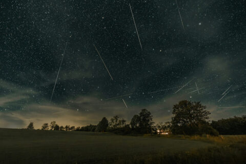 Sternenklarer Nachthimmel mit Meteorschauer und leuchtenden Sternschnuppen über einer Waldlandschaft