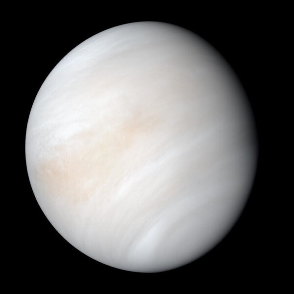 Die Venus als Abendstern – Nahaufnahme des Planeten mit seiner dichten Wolkendecke.